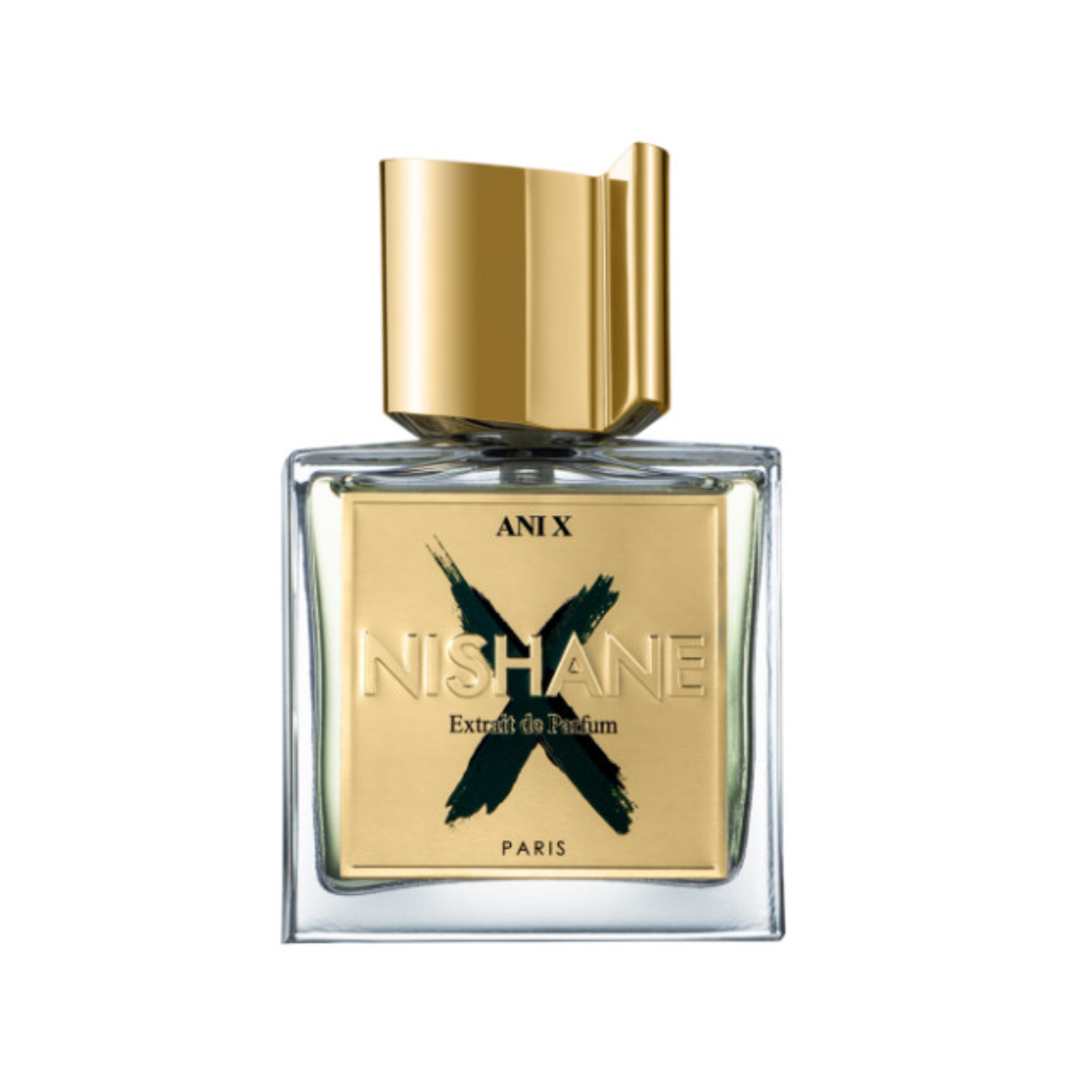 Ani X - Nishane