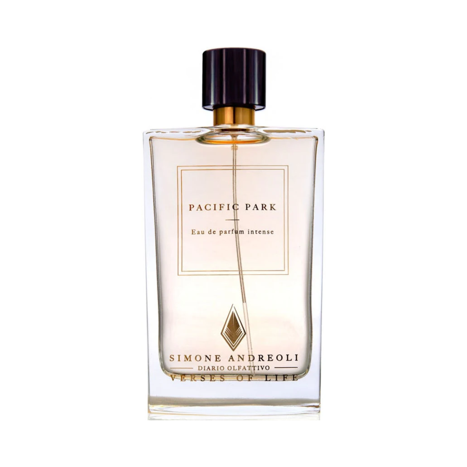 Pacific Park - Simone Andreoli